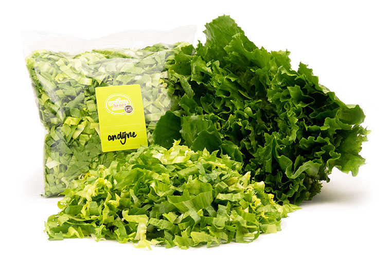 Koop Gesneden Andijvie Online. Vandaag Bestellen = Vandaag in Huis