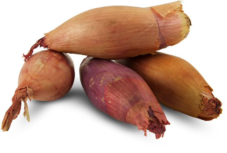 Koop Banaansjalot Online op Groentebroer.nl