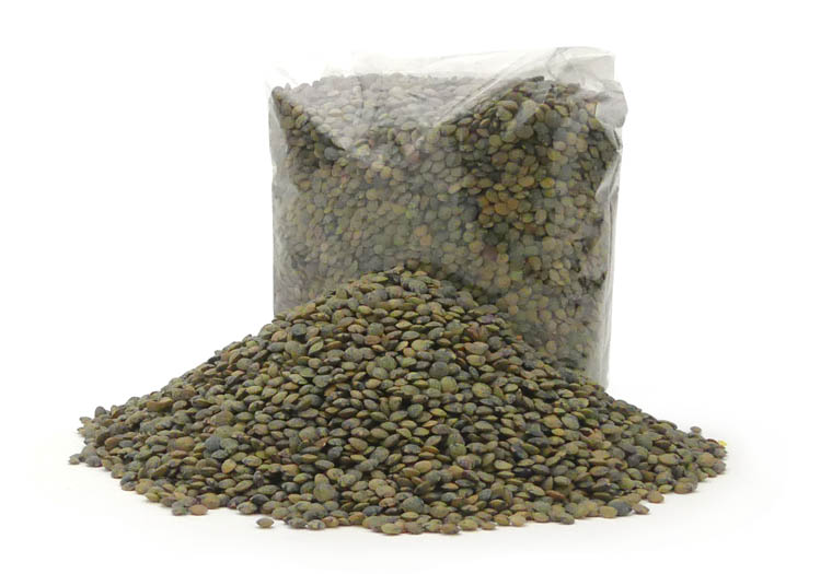 Berglinzen Online Kopen bij de Groentespecialist