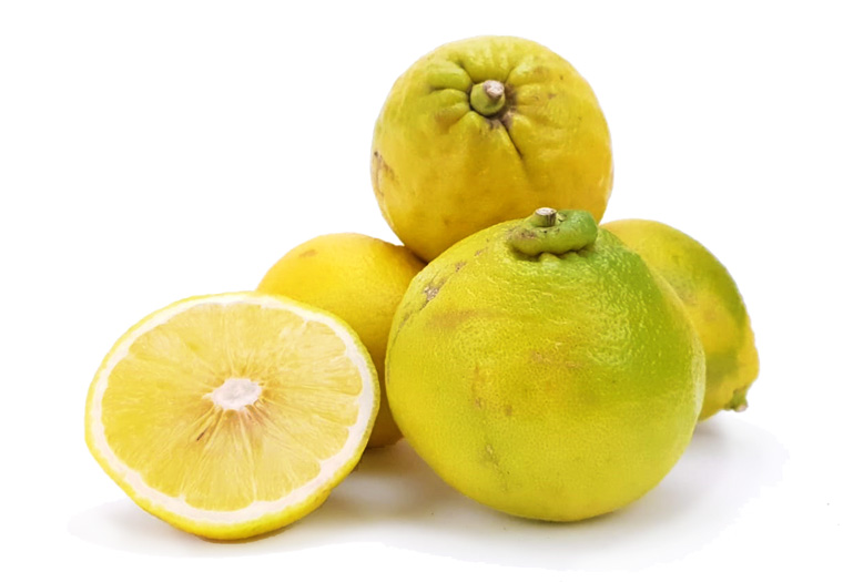Bergamot Citroenen Online Kopen bij de Fruitspecialist