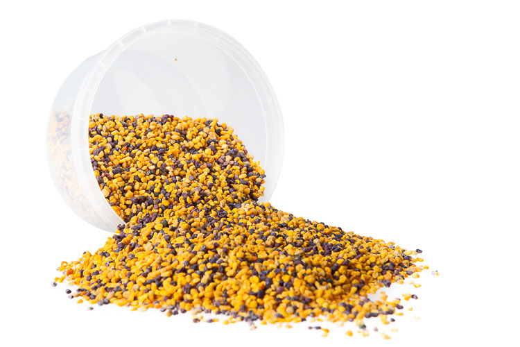 Bijenpollen Online Kopen | Groentebroer.nl