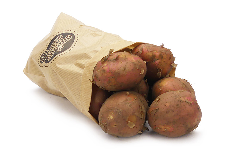 Koop nu heerlijke Thoolse Bildstar Online