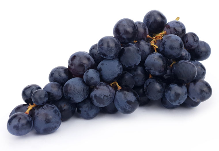 Blauwe Druiven Online Kopen bij de Fruitspecialist