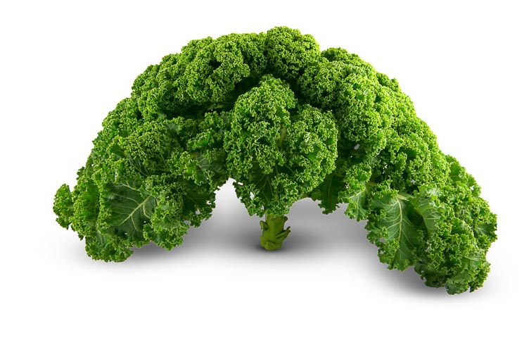 Koop verse Boerenkool bij de online groenteboer