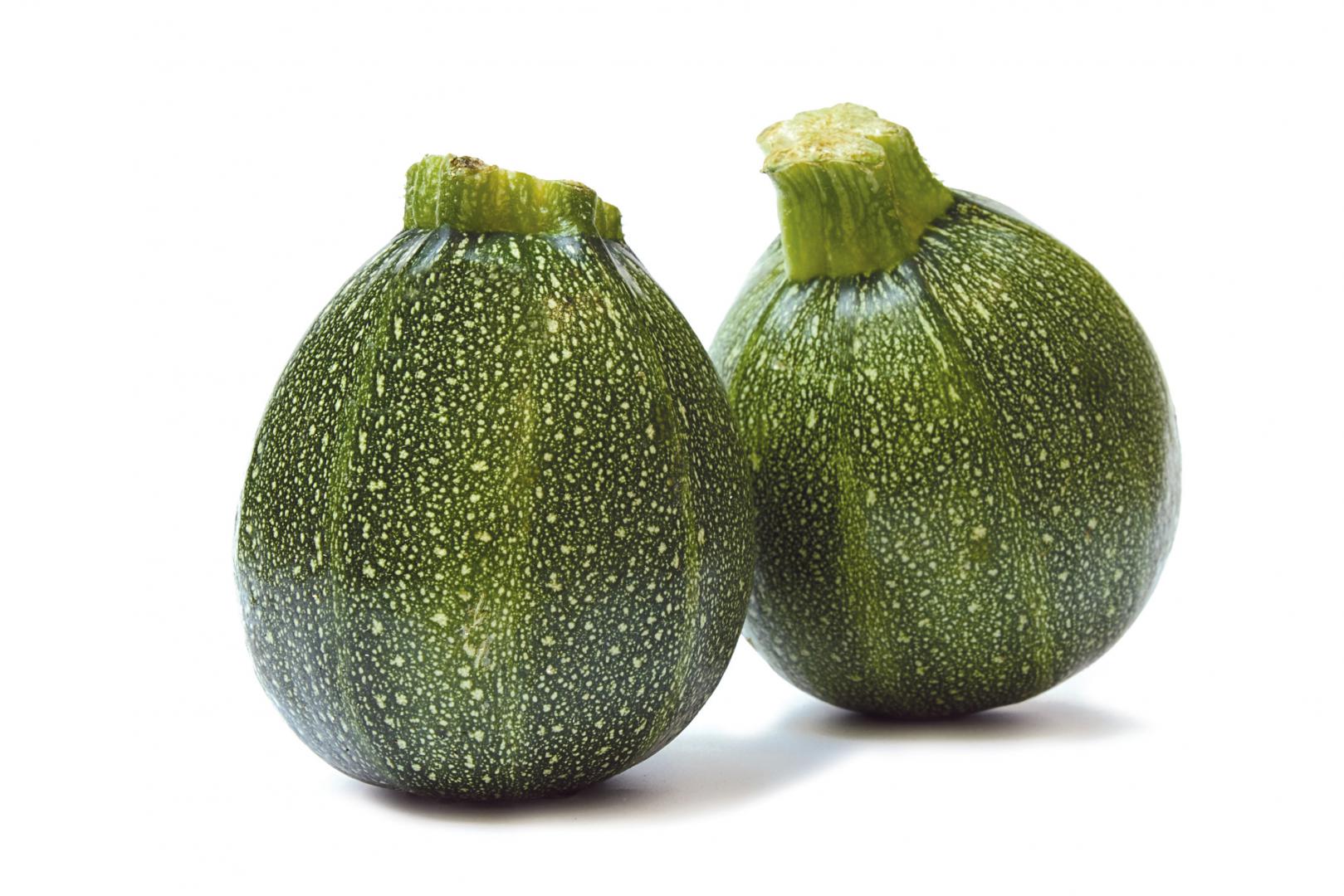 Koop Ronde Courgette Online bij de Specialist