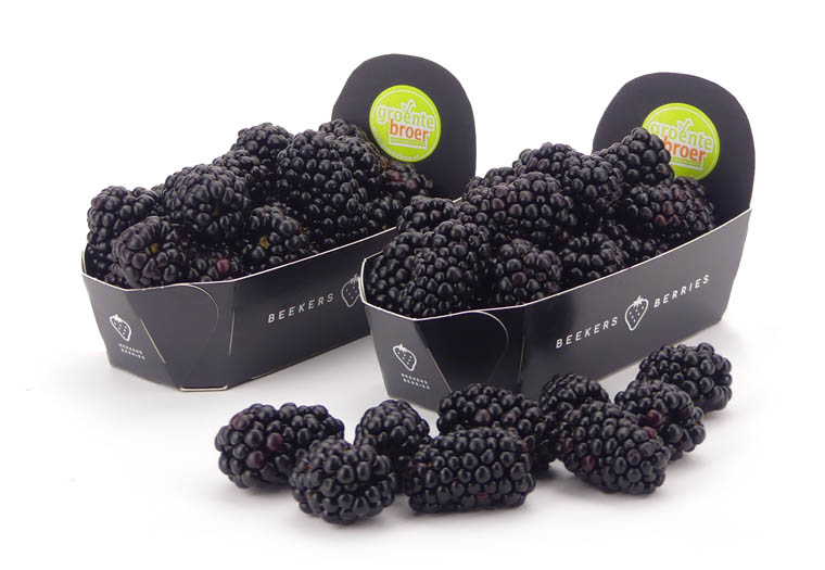 Bramen Online Kopen bij de Fruitspecialist