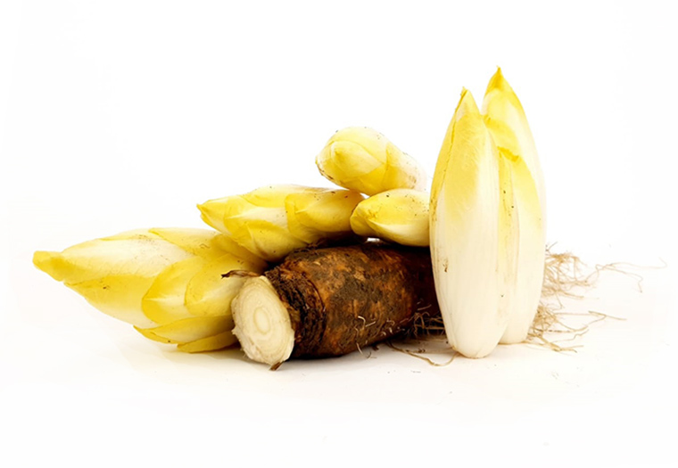 Bestel Ouderwets Brussels Grondlof bij de Online Specialist