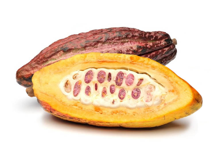 Cocoavrucht Online Kopen bij de Fruitspecialist