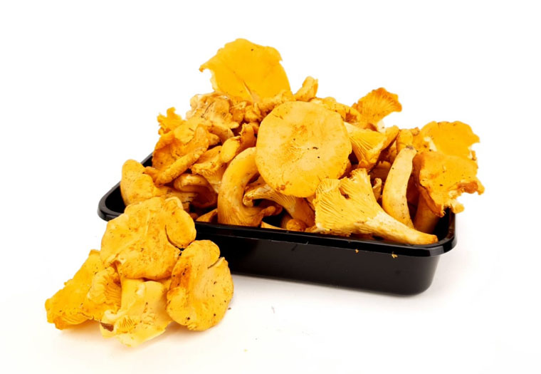 Cantharellen Online Kopen - Groentebroer.nl