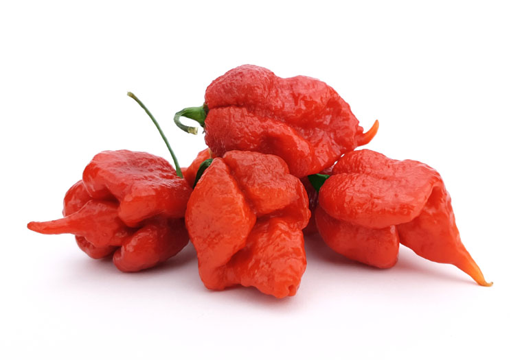 Koop Carolina Reaper Online - Heetste peper ter wereld!