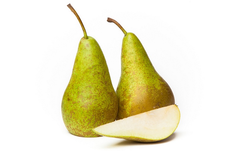 Conference Peren Online Kopen bij de Fruitspecialist