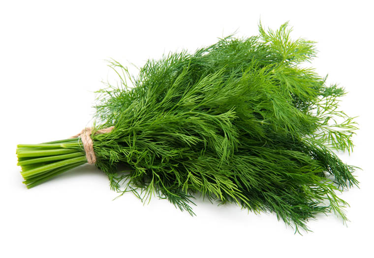 Dille Online Kopen. Vandaag Bestellen = Vandaag in Huis