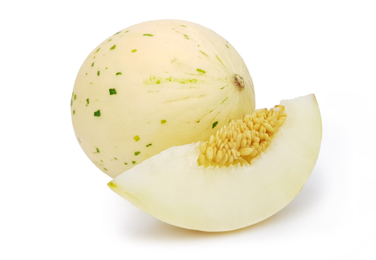 Koop Dinomeloen Online. Vandaag Bestellen = Vandaag in Huis