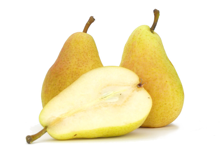 Dr. Jules Guyot Online Kopen bij de Fruitspecialist