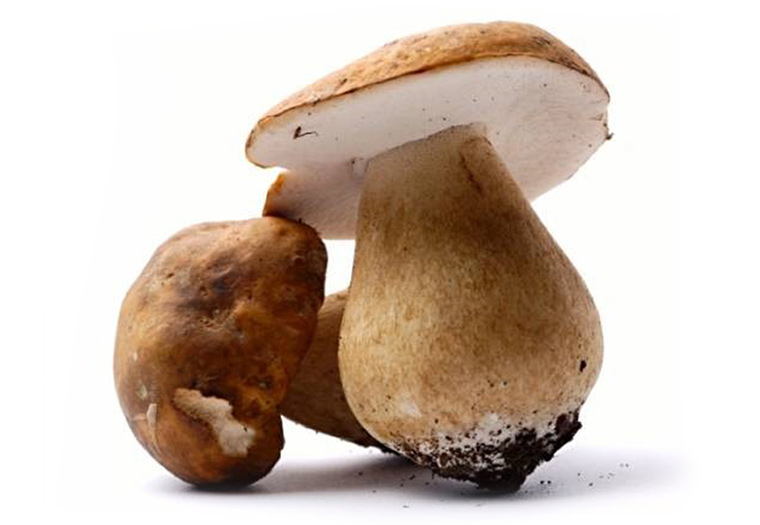 Eekhoortjesbrood Online Kopen bij de Specialist