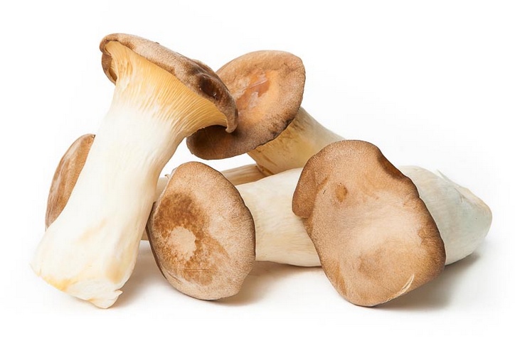 Koop Erynjii Online - Koningsoesterzwam Online Bestellen