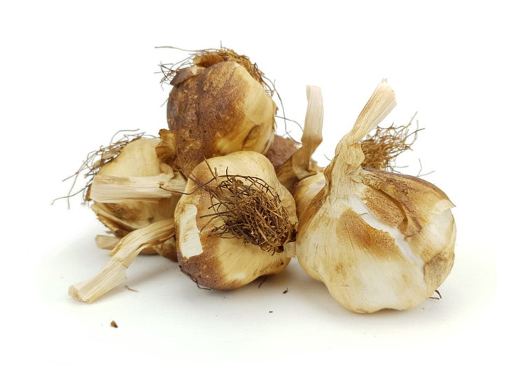 Koop Gerookte Knoflook Online bij de Specialist