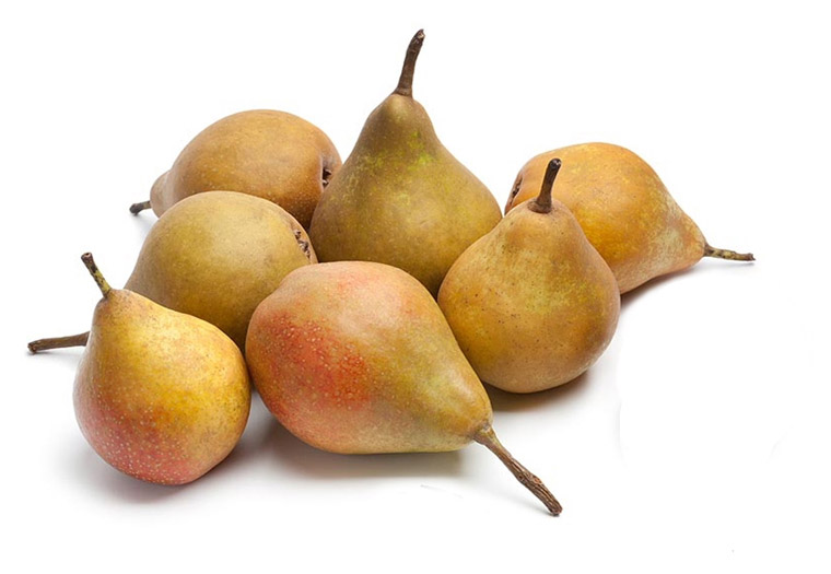 Koop Online Kleine Gieser Wildeman