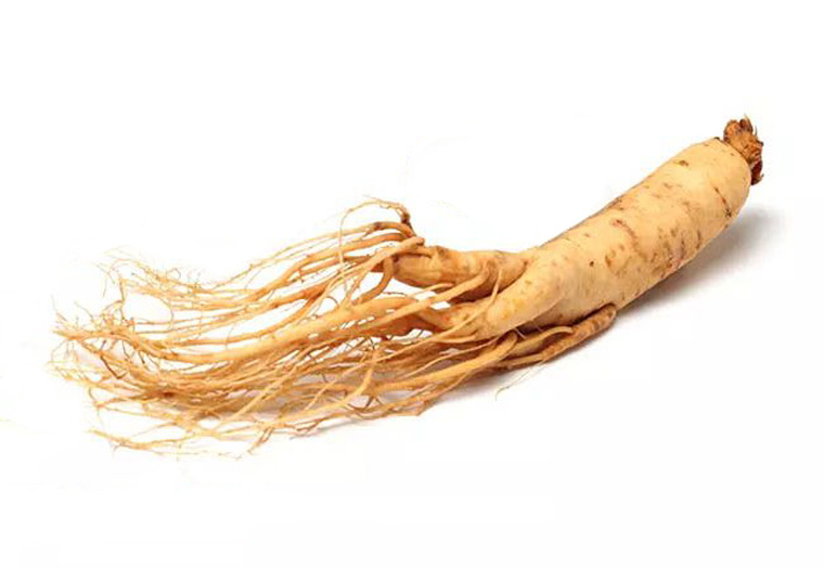 Verse Ginseng Wortels kopen? Groentebroer.nl