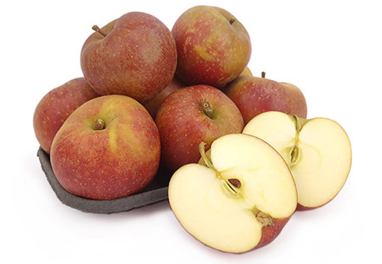 Goudreinette Online Kopen bij de Fruitspecialist