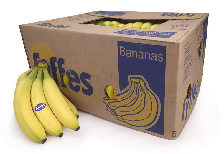 Hele Doos Fyffes Bananen Kopen bij de Fruitspecialist