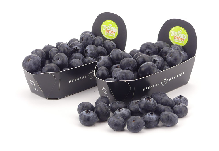 Hollandse Blauwe Bessen Kopen bij de Fruitspecialist