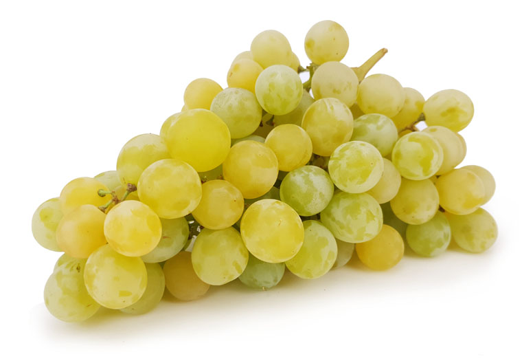 Hollandse Muskaat Druiven Online Bestellen