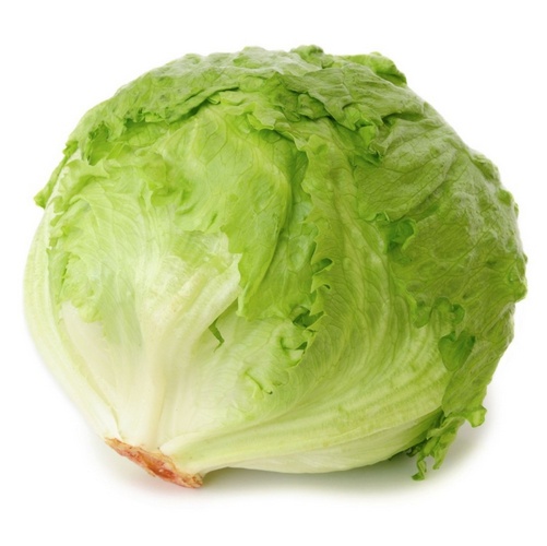 Online Ijsbergsla Kopen bij Groentebroer.nl