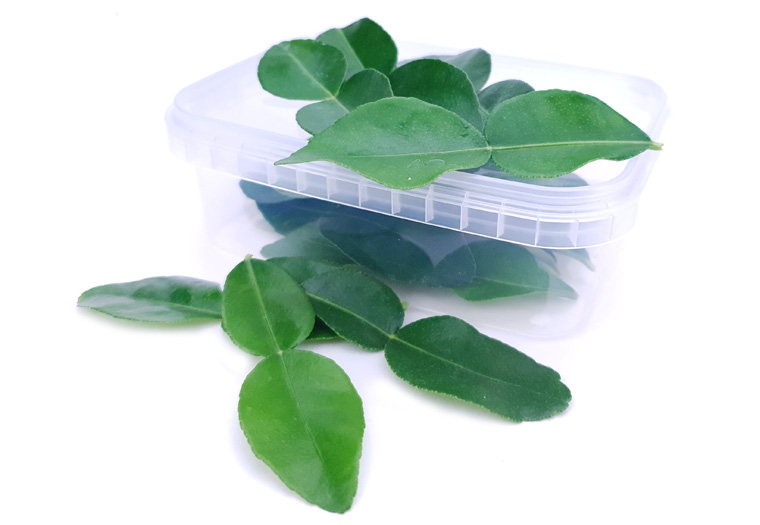 Verse Kaffir Limoenblaadjes Online Kopen