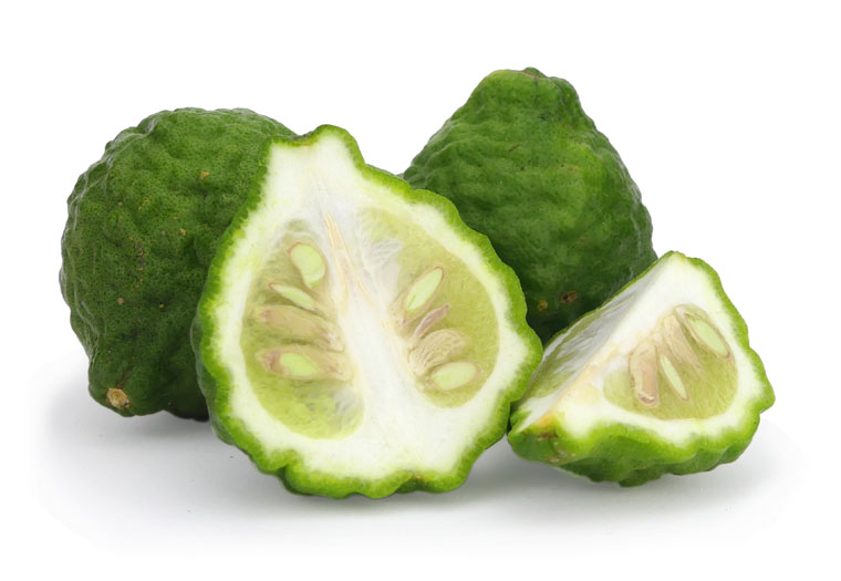 Kaffir Limoenen Online Kopen bij de Fruitspecialist