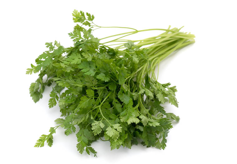 Kervel Online Kopen. Vandaag Bestellen = Vandaag in Huis