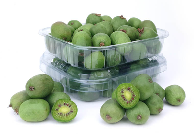 Kiwibessen Online Kopen bij de Fruitspecialist