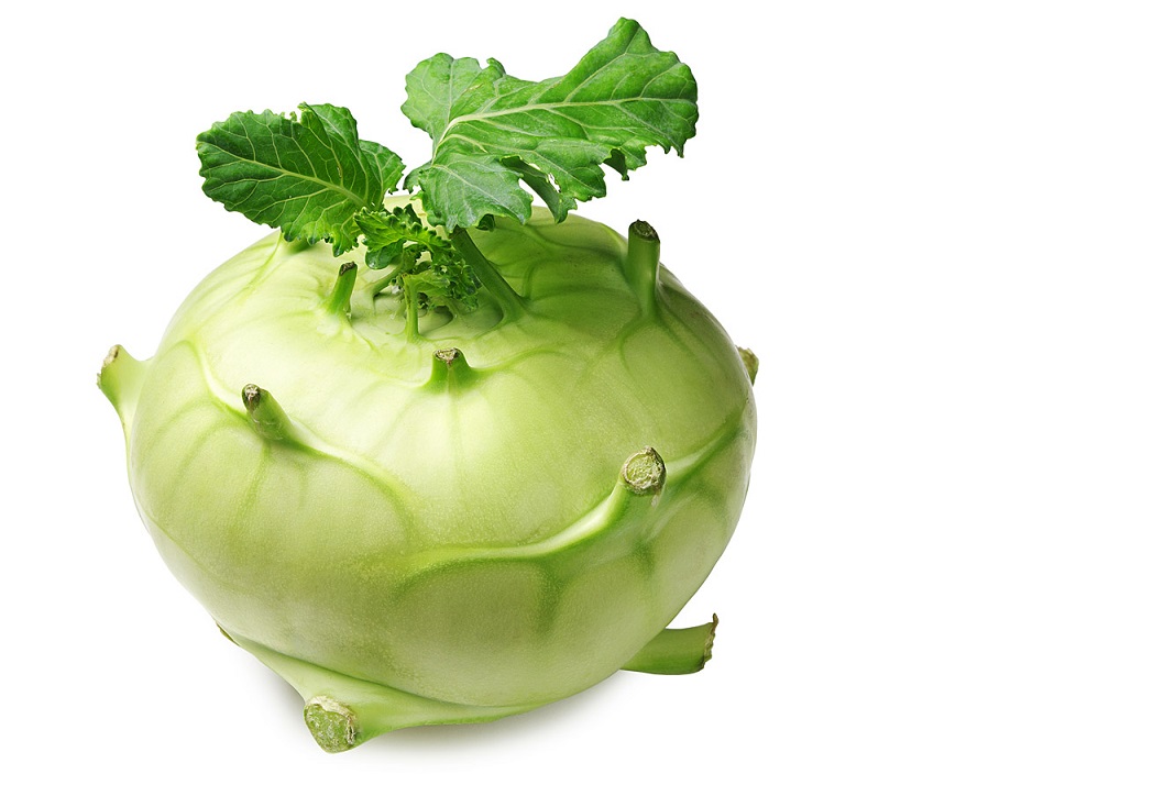 Koop Online Verse Koolrabi bij Groentebroer