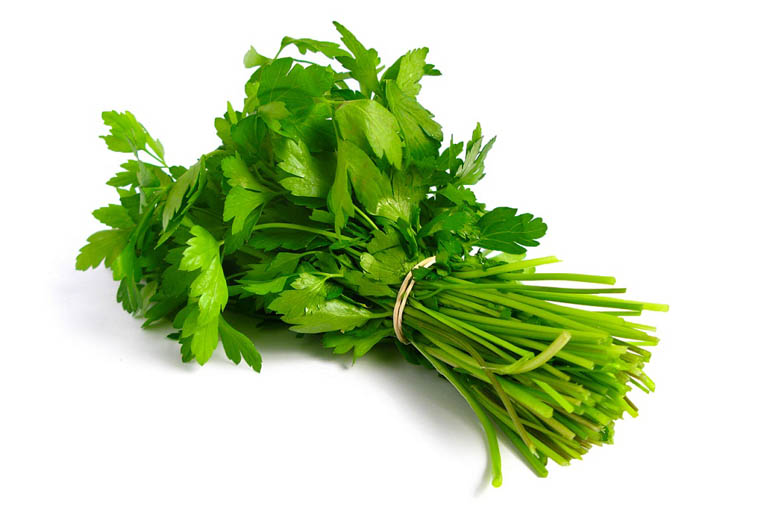 Koriander Online Kopen. Vandaag Bestellen = Vandaag in Huis