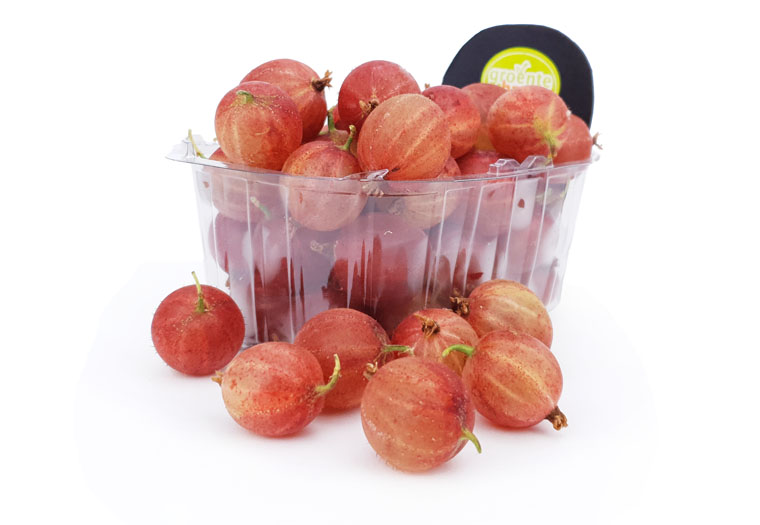 Kruisbessen Online Kopen bij de Fruitspecialist