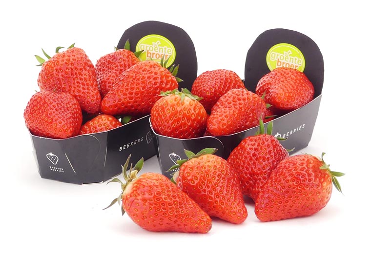Lambada Aardbeien Online Kopen bij de Fruitspecialist