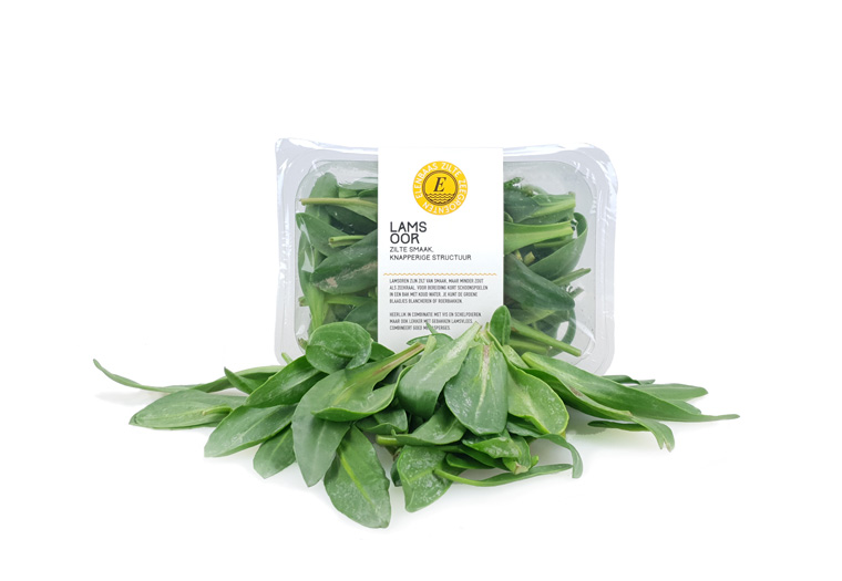 Koop Lamsoren Online. Vandaag Besteld = Vandaag in Huis