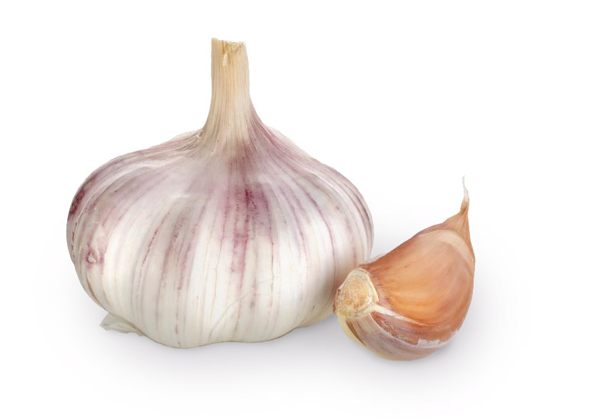 Lautrec Knoflook Online Kopen bij de Specialist in groente en fruit