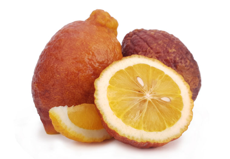 Limon Rosso Online Kopen bij de Fruitspecialist