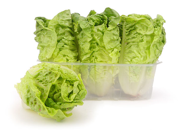 Online Kleine Kropjes Sla | Little Gem sla Bestellen