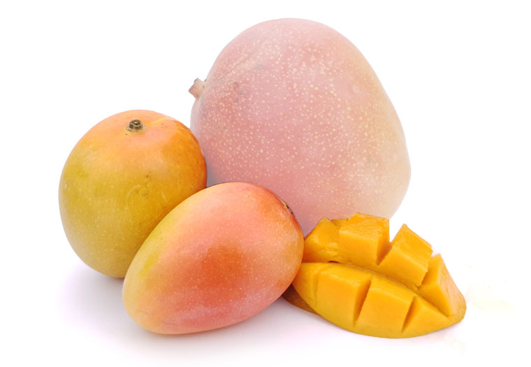 Mini Mango Online Kopen bij de Fruitspecialist