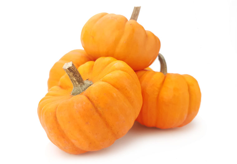 Koop Mini Pompoenen Online