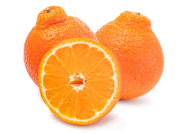 Minneola Online Kopen bij de Fruitspecialist
