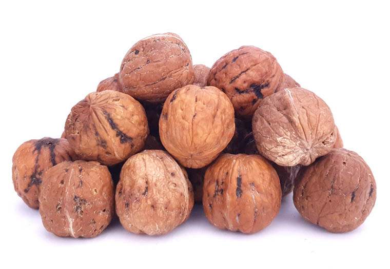 Natte Walnoten Online Bestellen - Net van de boom