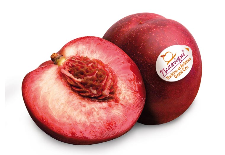 Nectavigne is een Rode Nectarine. Bestel online