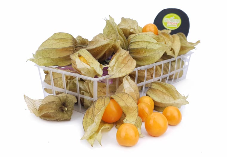 Physalis Online Kopen bij de Fruitspecialist