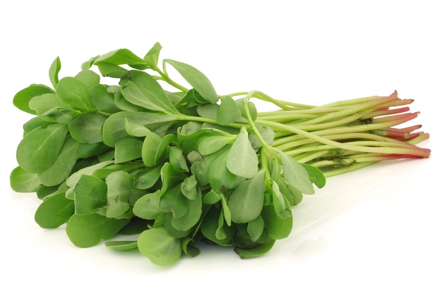 Bestel Online Ouderwets Lekkere Postelein