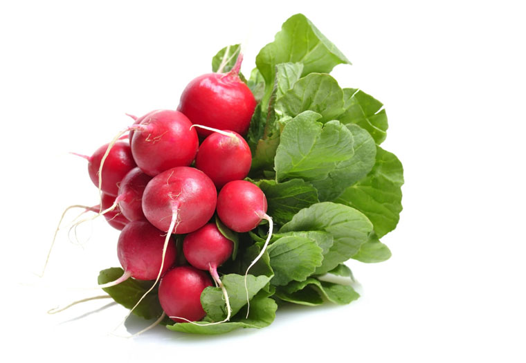 Radijs Online Kopen. Vandaag Besteld = Vandaag In Huis