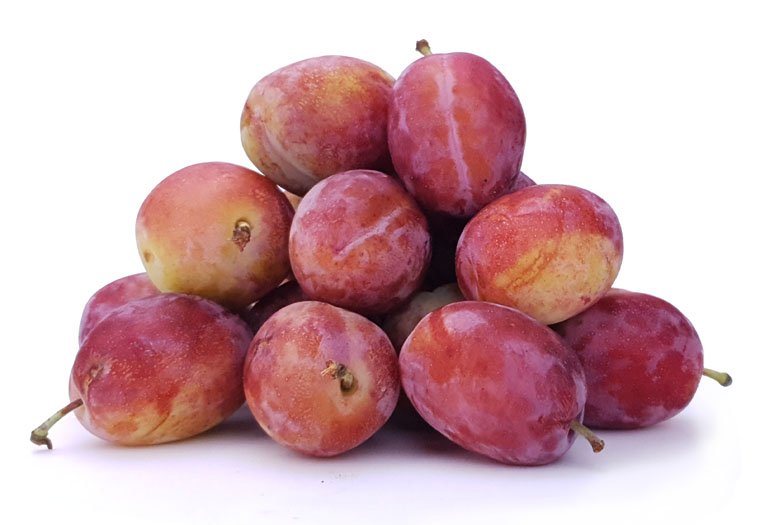 Bestel ouderwetse Reine Victoria Pruimen bij de specialist