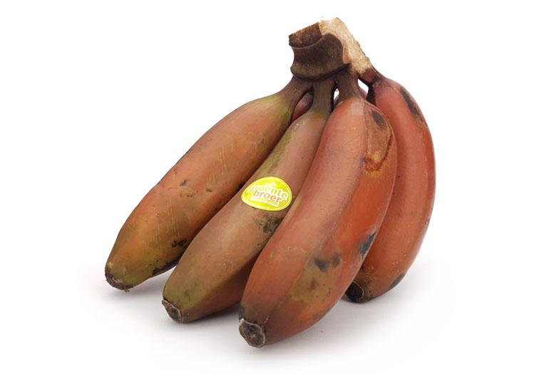 Rode Bananen Online Kopen bij de Fruitspecialist